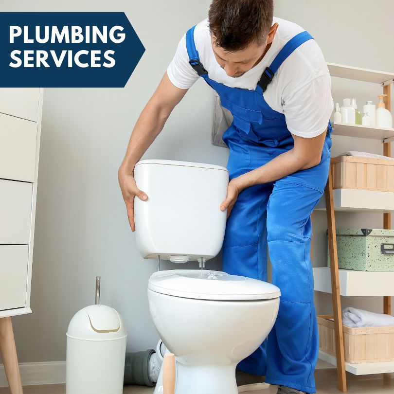 Plumbing Company in Naples, FL